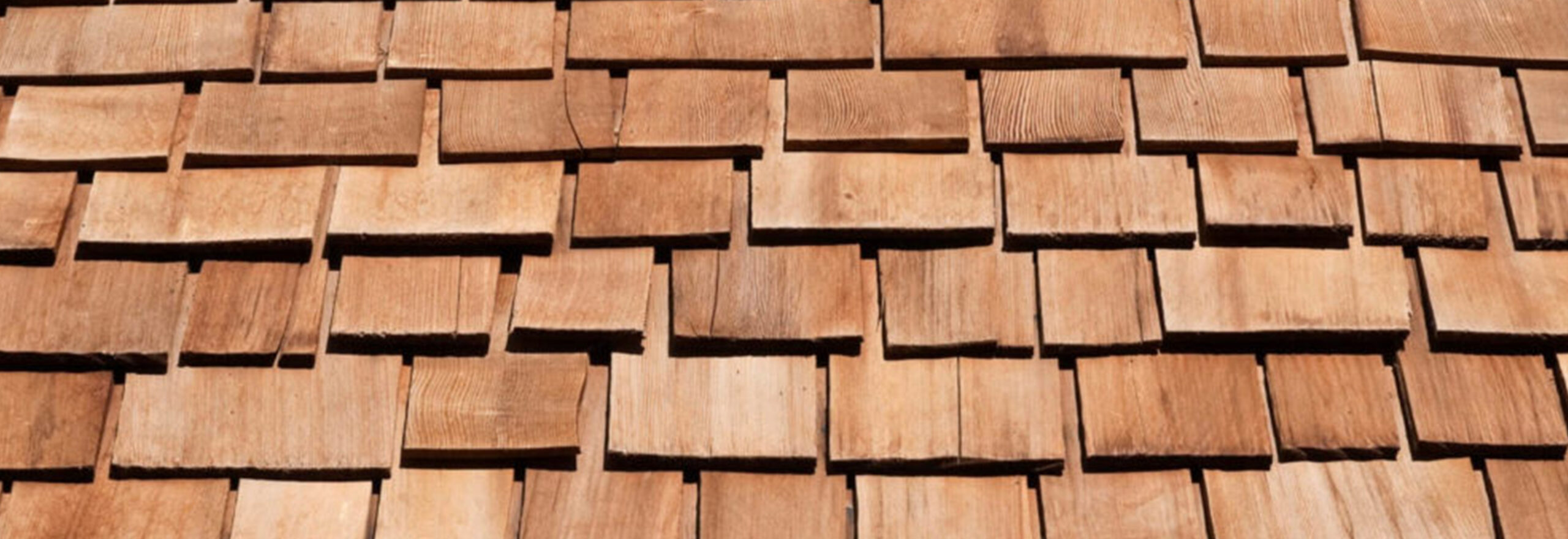 Cedar